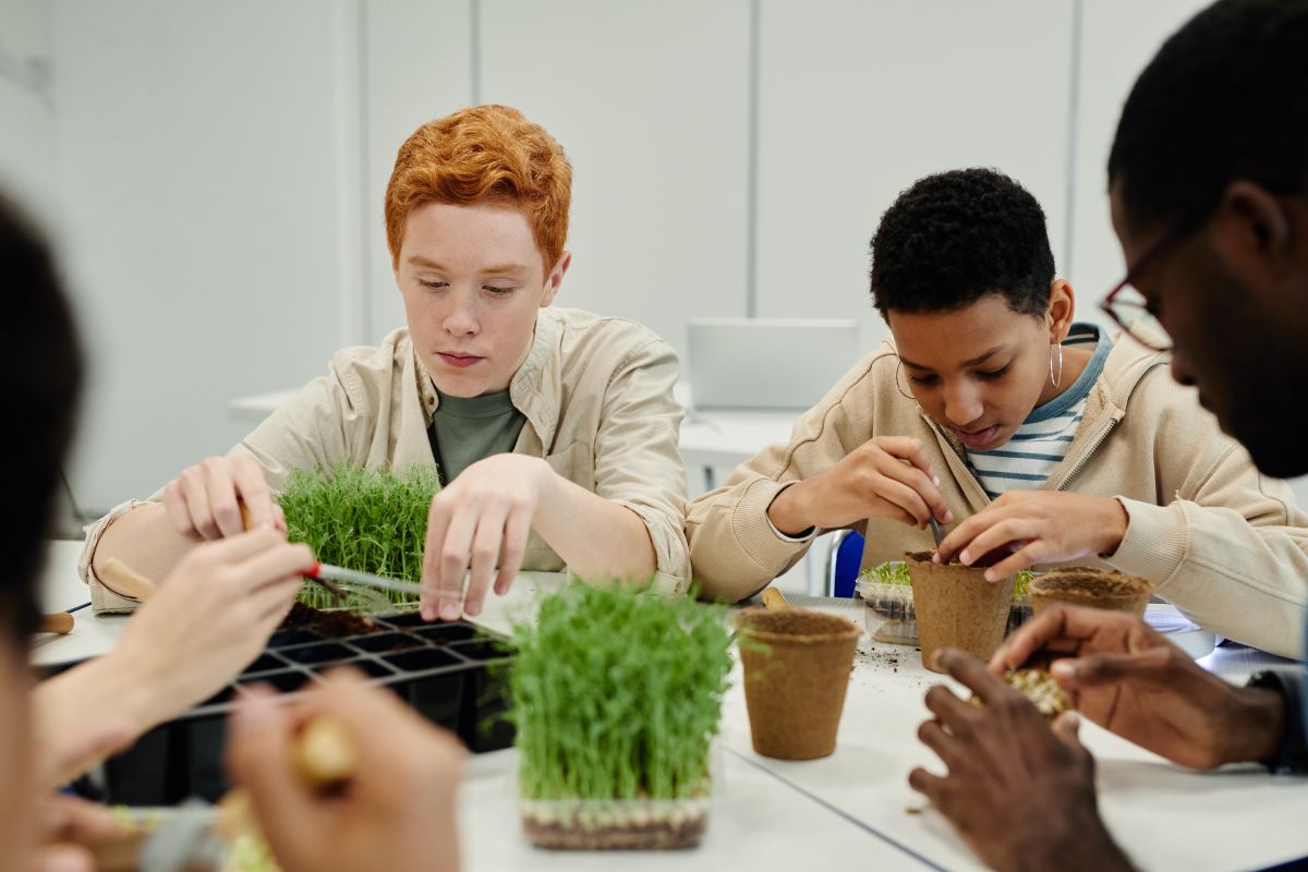 Ensino e aprendizagem cooperativa